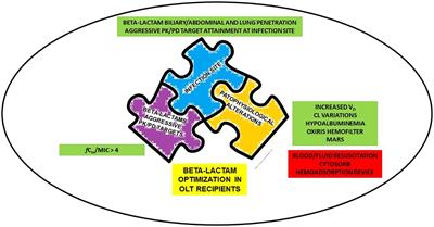 Pharmacokinetic/pharmacodynamic issues for optimizing treatment with beta-lactams of Gram-negative infections in critically ill orthotopic liver transplant recipients: a comprehensive review
